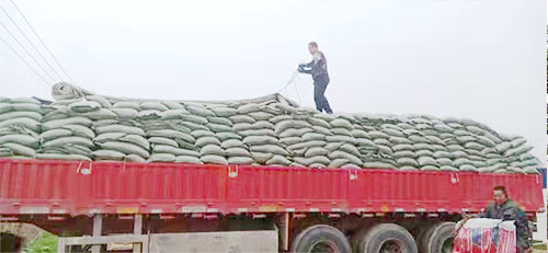 球場材料出貨現(xiàn)場